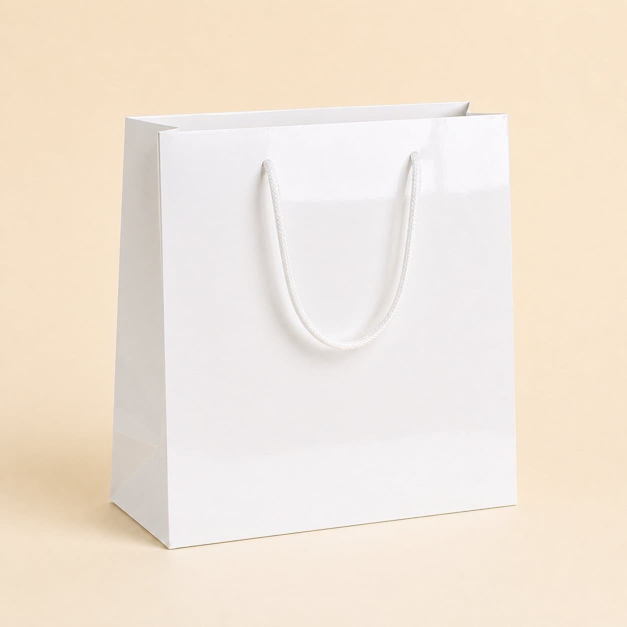 Laminated Paper Bag