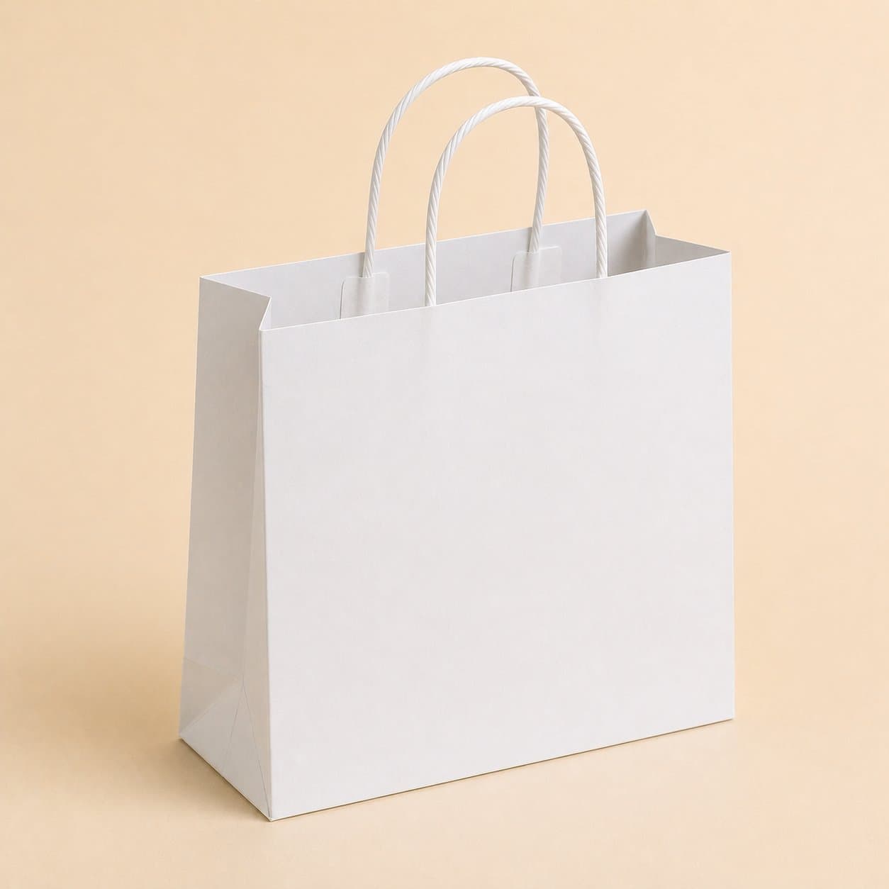 Twisted Paper Handle Bag